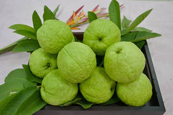 Ổi tốt cho bệnh nhân tiểu đường